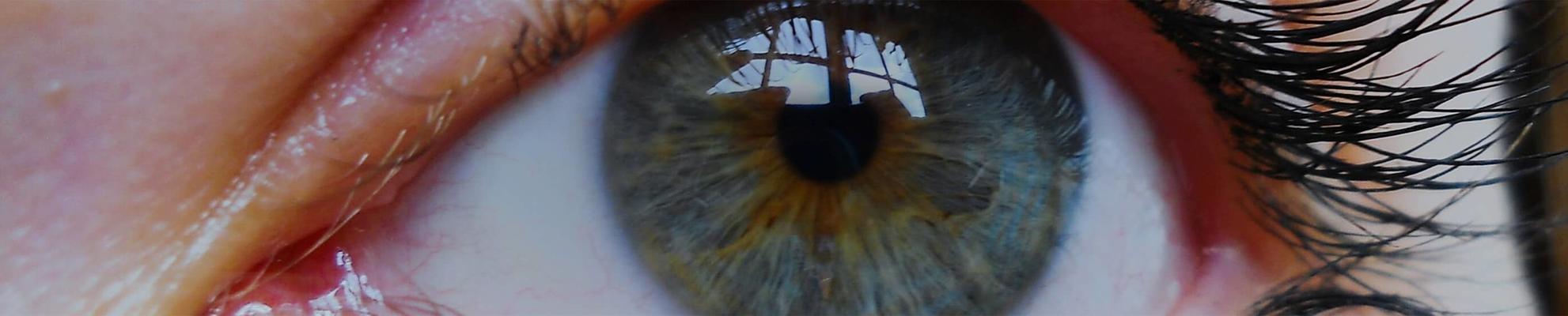 Closeup of a woman’s eye